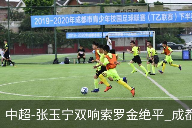 中超-张玉宁双响索罗金绝平 成都连扳两球2-2国安4连平